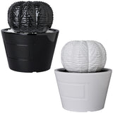 VCD Euphorbia obesa GLOSS BLACK/GLOSS WHITE