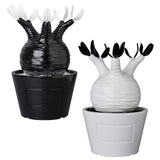 VCD Pachypodium Gracilius GLOSS BLACK/GLOSS WHITE