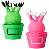 VCD Pachypodium Gracilius Fluorescent Green & BLACK/ Fluorescent Pink & WHITE