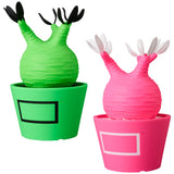 VCD Pachypodium Gracilius Fluorescent Green & BLACK/ Fluorescent Pink & WHITE
