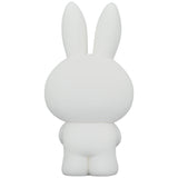 UDF Dick Bruna (Series 6) Bath Miffy