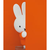 UDF Dick Bruna (Series 6) Miffy (Suddenly)