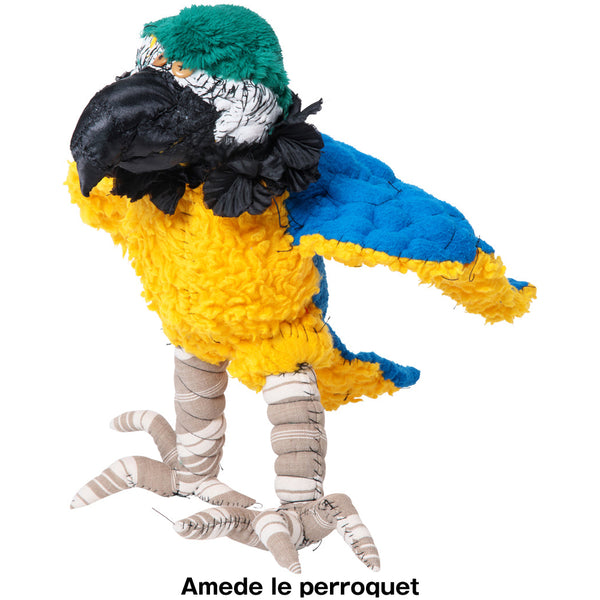 #057 Anne Valerie Dupond Amede le perroquet