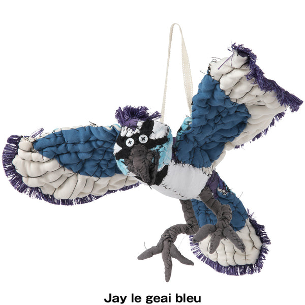 #059 Anne Valerie Dupond Jay le geai bleu