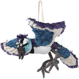 #059 Anne Valerie Dupond Jay le geai bleu