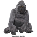 #022 Anne Valerie Dupond Camille le gorille