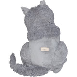 #050 Anne Valerie Dupond Pompon le tres gros chat