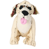 #056 Anne Valerie Dupond Oliver le Golden retriever