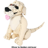 #056 Anne Valerie Dupond Oliver le Golden retriever