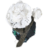 #094 Anne Valerie Dupond Petite fleur blanche