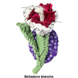 #108 Anne Valerie Dupond Belladone blanche