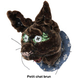 #085 Anne Valerie Dupond Petit chat brun