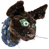 #085 Anne Valerie Dupond Petit chat brun